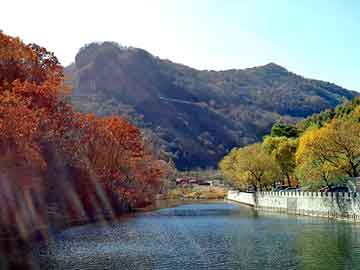 奥门天天开奖免费资料，水洗高岭土价格